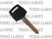 Honda Mediana Derecha ( L320 )