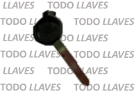 Honda Larga Derecha Portaiman (L341)